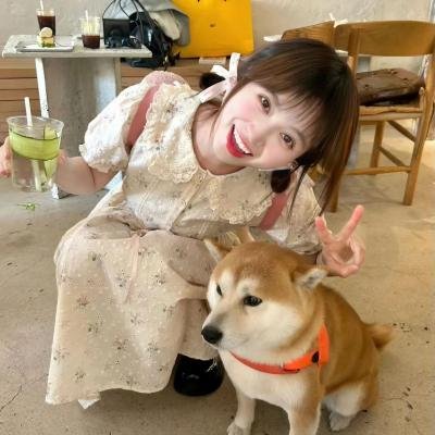 前任同盟