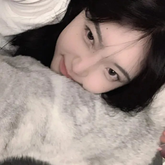 房子与狗